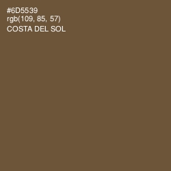 #6D5539 - Costa Del Sol Color Image